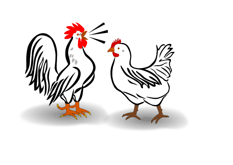 Über Hühner