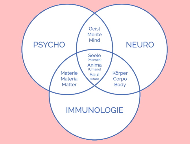 Psycho-Neuro-Immunologie (PNI)