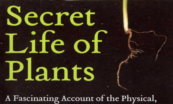1989/03: Secret Live of Plants: Chapter 2 – Plants Can Read Your Mind