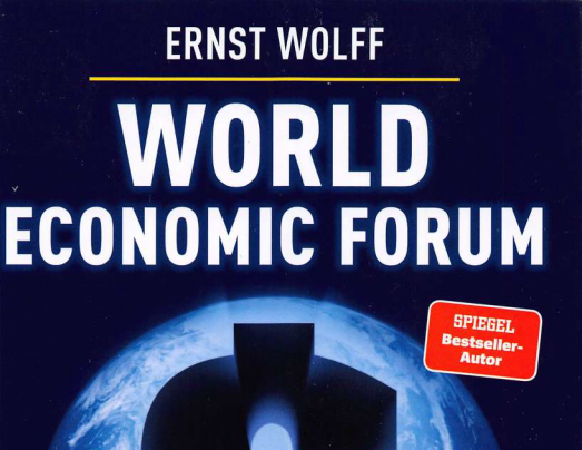 Wolff-WEF: Inhalt
